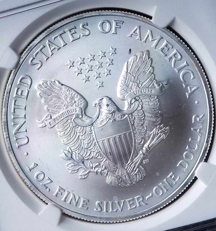 2003 Silver Eagle reverse struck-through error showing debris impression in the eagle's field